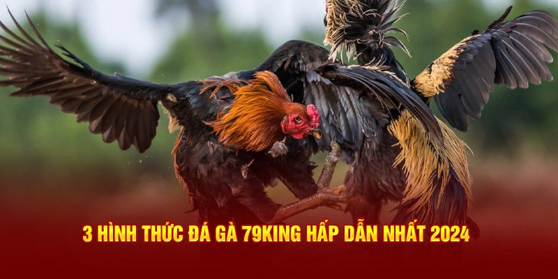 Các hình thức đá gà hấp dẫn tại nhà cái 79king